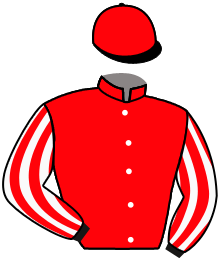 casaque portée par Dubourg P. jockey du cheval de course GRANDEUR NATURE, information pmu ZETURF