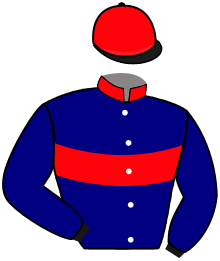 casaque portée par Samaria Q. jockey du cheval de course SWEATING BULLETS, information pmu ZETURF