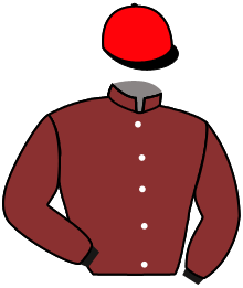 casaque portée par Zuliani A. jockey du cheval de course KENTUCKY WOOD, information pmu ZETURF