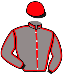 casaque portée par De Giles F. jockey du cheval de course KADOR DE CIERGUES, information pmu ZETURF