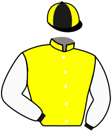 casaque portée par Zuliani A. jockey du cheval de course KOUTOUZOV, information pmu ZETURF