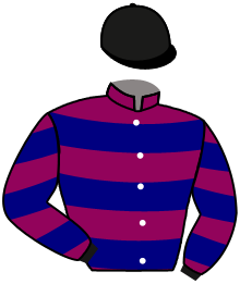 casaque portée par Gelhay B. jockey du cheval de course DASHKA, information pmu ZETURF