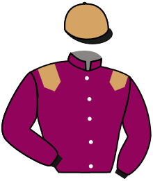 casaque portée par Ruiz Gonzalez A. jockey du cheval de course GINO'S LINE, information pmu ZETURF