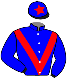 casaque portée par Valle Skar Mlle F. jockey du cheval de course HAMILTON, information pmu ZETURF