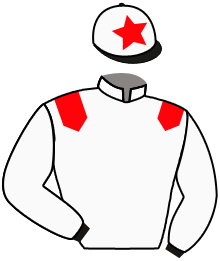 casaque portée par Marie Benj. jockey du cheval de course CLAY, information pmu ZETURF