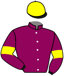 casaque portée par Trolley De Prevaux G. jockey du cheval de course KING RETURN, information pmu ZETURF