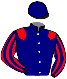 casaque portée par Velon Mlle M. jockey du cheval de course TERESA MENDOZA, information pmu ZETURF