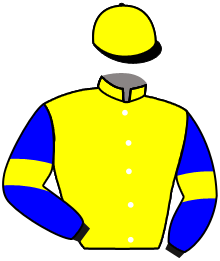 casaque portée par Lacroix Mme Jul. jockey du cheval de course IT'S ALL A DREAM, information pmu ZETURF