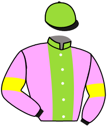 casaque portée par Sias Gio. jockey du cheval de course FALCON, information pmu ZETURF