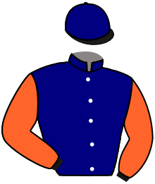 casaque portée par Lebouc Hug. jockey du cheval de course OUI JE L ADORE, information pmu ZETURF