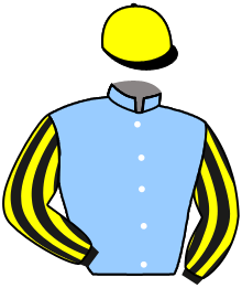 casaque portée par Planque S. jockey du cheval de course BENGALE, information pmu ZETURF