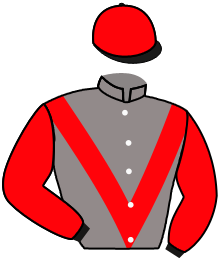 casaque portée par Plommee Léo. jockey du cheval de course APRIL FLOWER, information pmu ZETURF