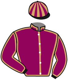 casaque portée par Grosso Mlle L. jockey du cheval de course FREED FROM DESIRE, information pmu ZETURF