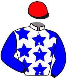 casaque portée par Boisseau L. jockey du cheval de course LORD SPIRIT, information pmu ZETURF