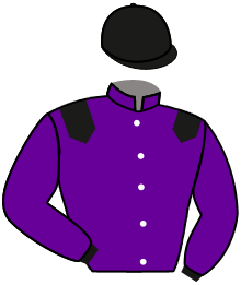 casaque portée par Trullier T. jockey du cheval de course PARFAITE MERILL, information pmu ZETURF