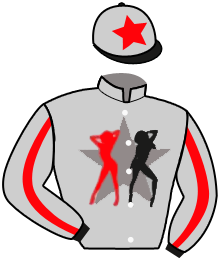 casaque portée par Fleissner Mlle C. jockey du cheval de course GO GO BLITZ, information pmu ZETURF
