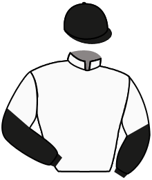 casaque portée par Trullier T. jockey du cheval de course KHANWEILER, information pmu ZETURF