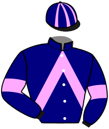 casaque portée par Korosi Cha. jockey du cheval de course HENRY DE TROUVILLE, information pmu ZETURF