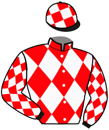 casaque portée par Guenet L. jockey du cheval de course HANA D'OCCAGNES, information pmu ZETURF