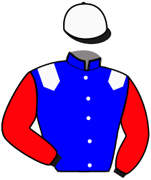 casaque portée par Bourgoin-timbert A. jockey du cheval de course IPSO DU FER, information pmu ZETURF