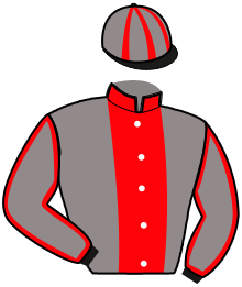 casaque portée par Desmigneux F. jockey du cheval de course KID DES MOLLES, information pmu ZETURF
