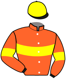 casaque portée par Lamy A. jockey du cheval de course KENTUCKY IDEAL, information pmu ZETURF