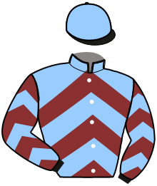 casaque portée par Nivard F. jockey du cheval de course LUNE DU DOUET, information pmu ZETURF