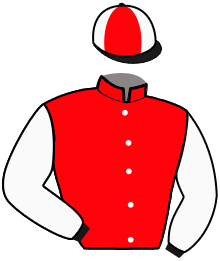 casaque portée par Desmarres S. jockey du cheval de course LAZURA PRIOR, information pmu ZETURF