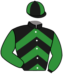 casaque portée par Mottier M. jockey du cheval de course KINGA SUPREME, information pmu ZETURF