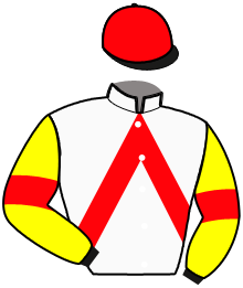 casaque portée par Lecanu F. jockey du cheval de course MEC D'ERCOURT, information pmu ZETURF
