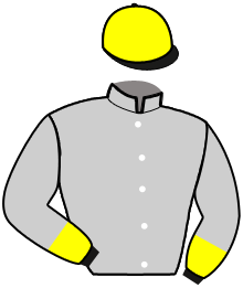 casaque portée par Abrivard M. jockey du cheval de course MILANTERA, information pmu ZETURF