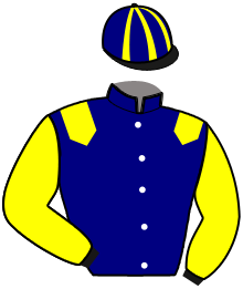 casaque portée par Houel Pie. jockey du cheval de course MIAMI, information pmu ZETURF