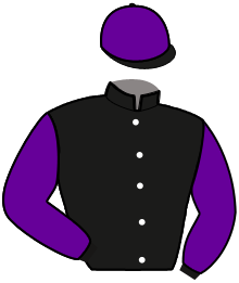 casaque portée par Desmigneux F. jockey du cheval de course MYRIADE, information pmu ZETURF