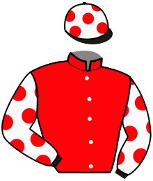 casaque portée par Mathias-maisonnette Mme Tam. jockey du cheval de course MISS NIVERNAISE, information pmu ZETURF