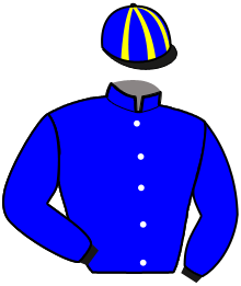 casaque portée par Angot A. jockey du cheval de course MANON DU RIED, information pmu ZETURF