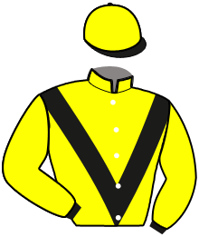 casaque portée par Guillon Mme Kat. jockey du cheval de course GOOD COMPUTER, information pmu ZETURF