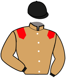 casaque portée par Trihollet Mlle M. jockey du cheval de course IRVING HEROLD, information pmu ZETURF