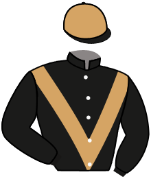 casaque portée par Gauffenic N. jockey du cheval de course JOHNNYSAID, information pmu ZETURF