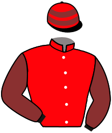 casaque portée par Reveley J. jockey du cheval de course MASTER D'AUTAN, information pmu ZETURF