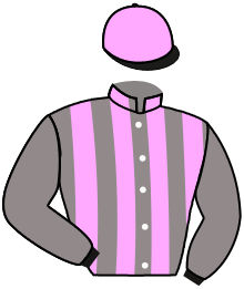 casaque portée par Behocaray Max. jockey du cheval de course ONE WAY OR ANOTHER, information pmu ZETURF