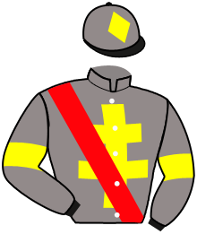 casaque portée par Ruis S. jockey du cheval de course TICKLISH, information pmu ZETURF