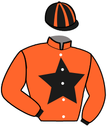 casaque portée par David L. M. jockey du cheval de course INES DE LA ROUVRE, information pmu ZETURF