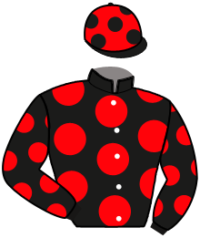 casaque portée par Rochard B. jockey du cheval de course JESTA BUISSONAY, information pmu ZETURF