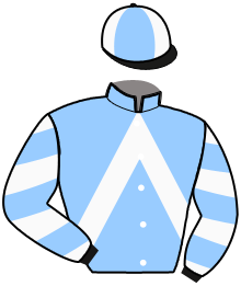 casaque portée par Lamy A. jockey du cheval de course HARCANGELO D'AMOUR, information pmu ZETURF