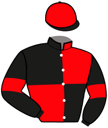 casaque portée par Mottier M. jockey du cheval de course HORACE D'ARTHENAY, information pmu ZETURF