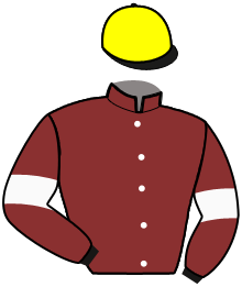 casaque portée par Wiels A. jockey du cheval de course GLYCINA BELLA, information pmu ZETURF