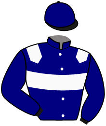 casaque portée par Raffin O. jockey du cheval de course HAUTBRION COLMI, information pmu ZETURF