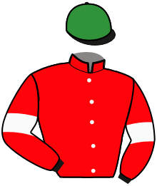 casaque portée par Meriel A. jockey du cheval de course HOVE PONT VAUTIER, information pmu ZETURF