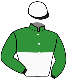 casaque portée par Beauvais T. jockey du cheval de course FAKIR DE L'AULNE, information pmu ZETURF