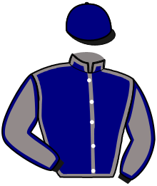 casaque portée par Bazire N. jockey du cheval de course JINGLE DU PONT, information pmu ZETURF